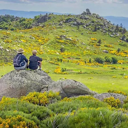 Prestige Avec Terrasse - Api-1-52-411