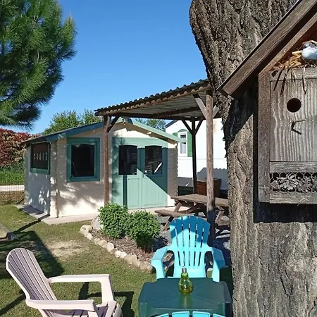 Prestige Avec Terrasse - Api-1-52-411