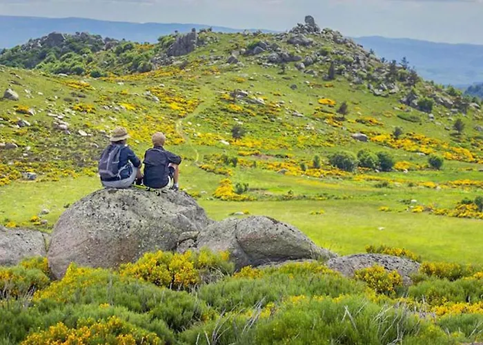 Prestige Avec Terrasse - Api-1-52-411